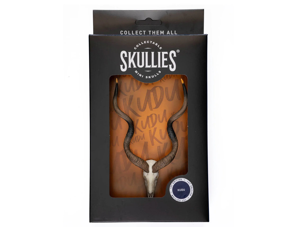 Southern Greater Kudu Skullie
