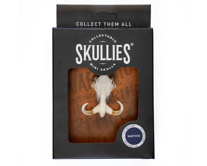 Warthog Skullie