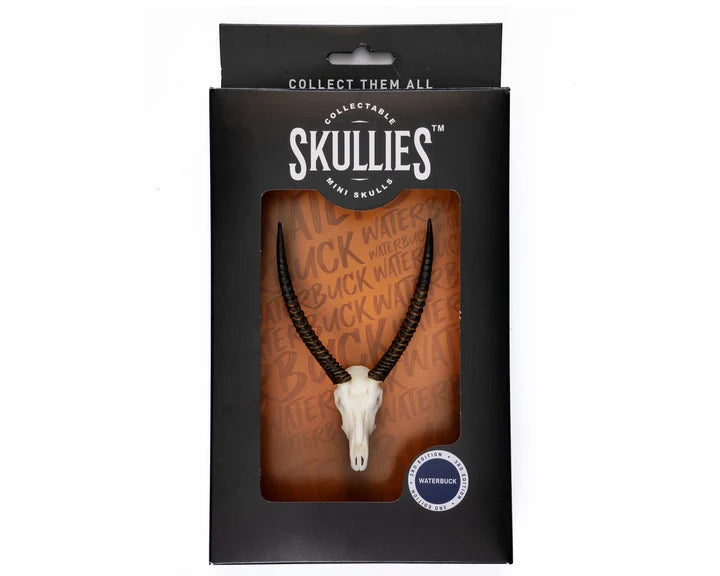 Waterbuck Skullie