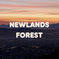 COMMUNITY HIKES - CAPE TOWN EDITION