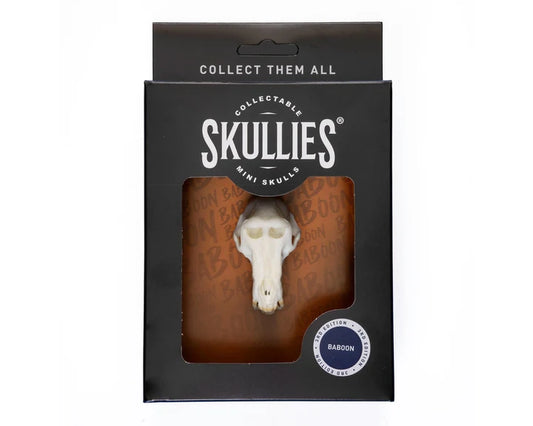 Baboon Skullie