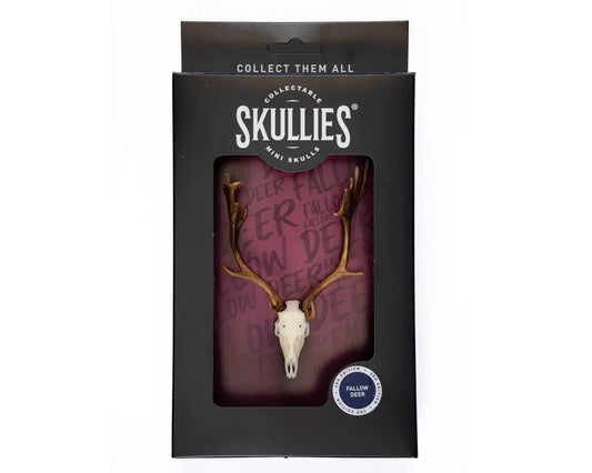 Fallow Deer Skullie