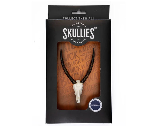 Waterbuck Skullie
